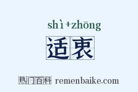 适衷是什么意思的图片